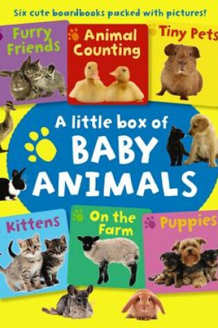 Cover of Little Box of Baby Animals