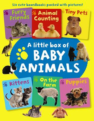 Book cover for Little Box of Baby Animals