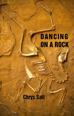 Book cover for Dancing on a Rock