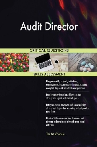 Cover of Audit Director Critical Questions Skills Assessment