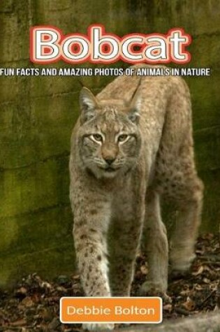 Cover of Bobcat