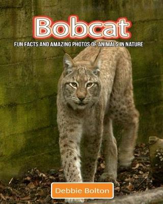 Book cover for Bobcat