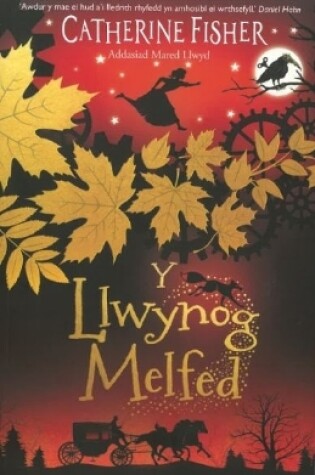Cover of Y Llwynog Melfed
