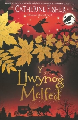 Book cover for Y Llwynog Melfed