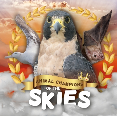 Cover of Skies