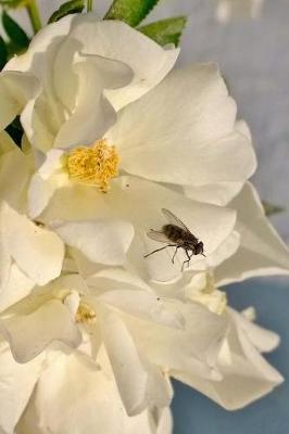 Book cover for Fly On A Flower Notebook