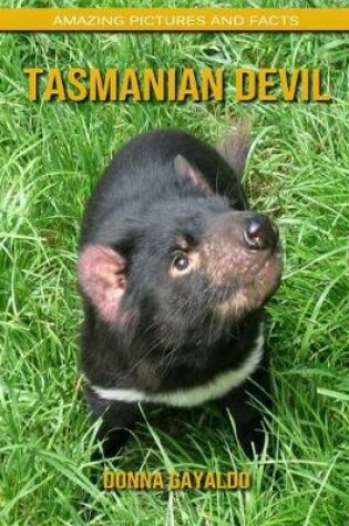 Cover of Tasmanian Devil