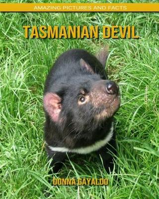 Book cover for Tasmanian Devil