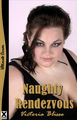 Book cover for Naughty Rendezvous