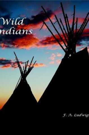 Cover of Wild Indians