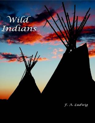 Book cover for Wild Indians