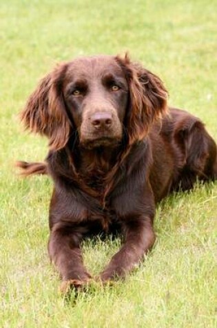 Cover of The Deutscher Wachtelhund Dog Journal (German Spaniel)