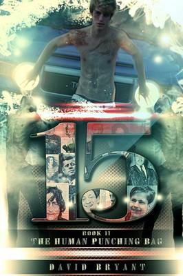 Book cover for 15, the Human Punching Bag