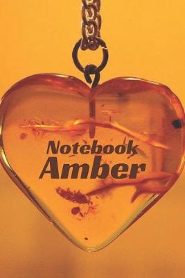 Book cover for Amber Notebook