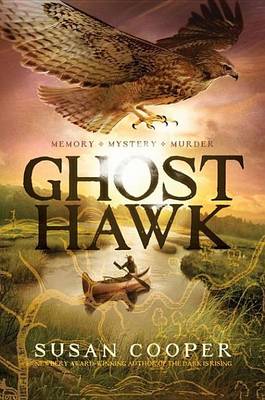 Book cover for Ghost Hawk