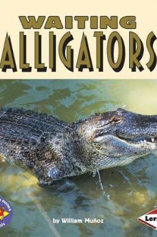 Cover of Waiting Alligators