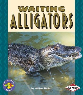 Book cover for Waiting Alligators