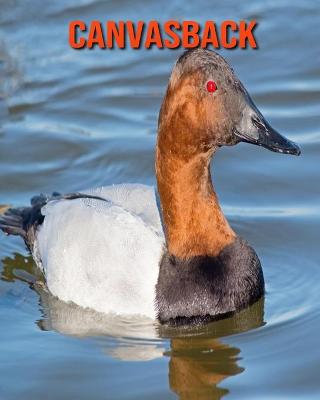 Book cover for Canvasback