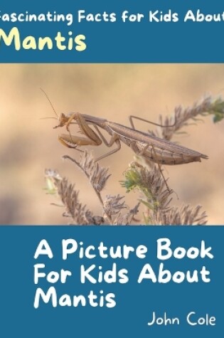 Cover of A Picture Book for Kids About Mantis