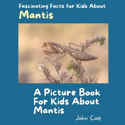 Book cover for A Picture Book for Kids About Mantis