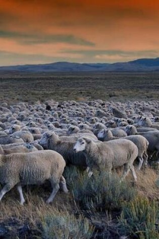 Cover of Sheep Grazing on the Plains of Idaho