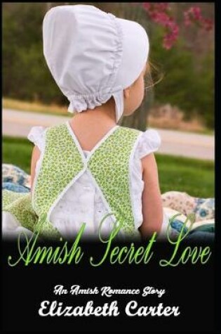 Cover of Amish Secret Love