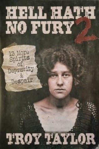 Cover of Hell Hath No Fury 2