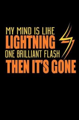 Cover of My Mind Is Like Lightning One Brilliant Flash Then It's Gone