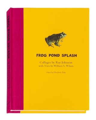 Book cover for Ray Johnson and William S. Wilson: Frog Pond Splash