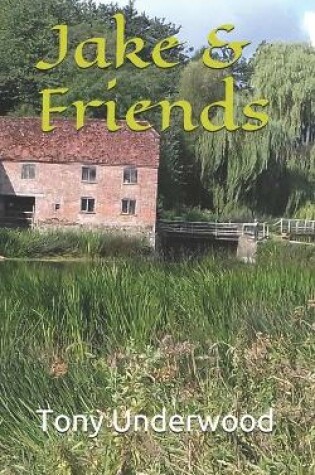 Cover of Jake & Friends