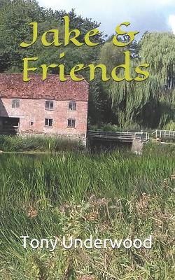 Book cover for Jake & Friends
