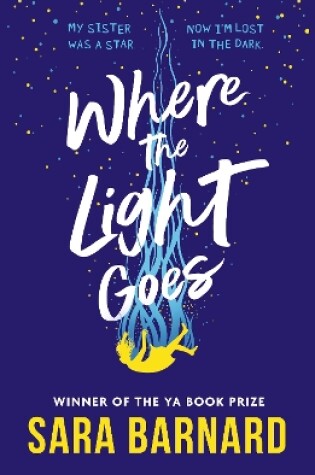 Cover of Where the Light Goes