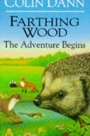 Cover of Adventure Begins