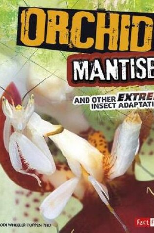 Cover of Extreme Adaptations Orchid Mantises and Other Extreme Insect Adaptations