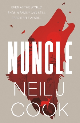 Book cover for Nuncle