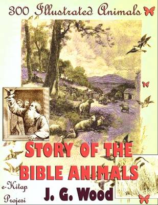 Book cover for Story of the Bible Animals: 300 Illustrated Animals