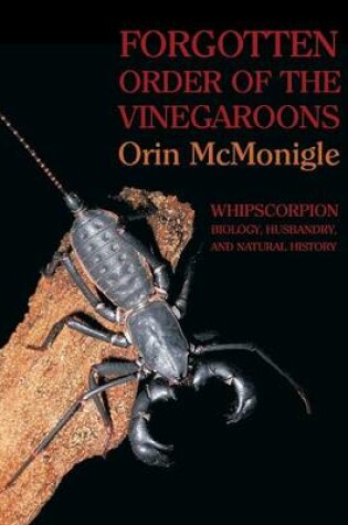 Cover of Forgotten Order of the Vinegaroons
