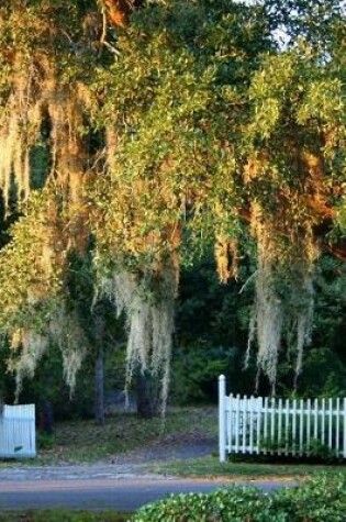 Cover of Louisiana Spanish Moss on the Oaks in Louisiana Journal