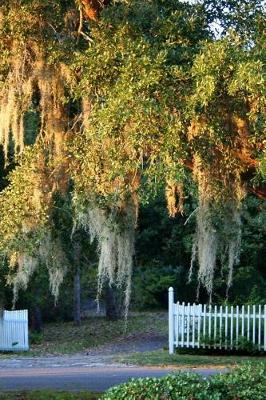 Book cover for Louisiana Spanish Moss on the Oaks in Louisiana Journal