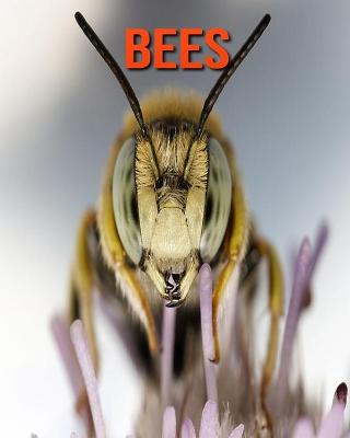 Book cover for Bees