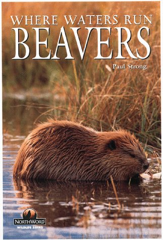 Cover of Beavers