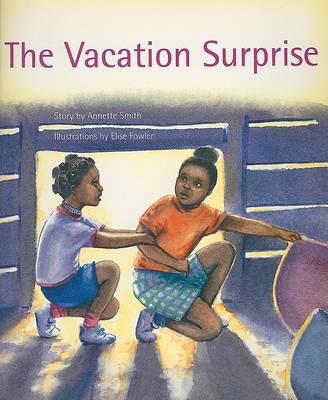 Book cover for The Vacation Surprise