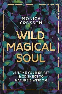 Book cover for Wild Magical Soul