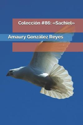 Book cover for Coleccion #86