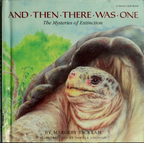 Book cover for And Then There Was One