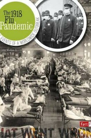 Cover of 1918 Flu Pandemic