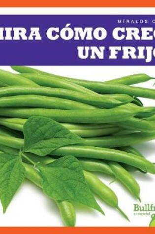 Cover of Mira Cómo Crece Un Frijol (Watch a Bean Grow)