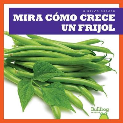 Book cover for Mira Cómo Crece Un Frijol (Watch a Bean Grow)