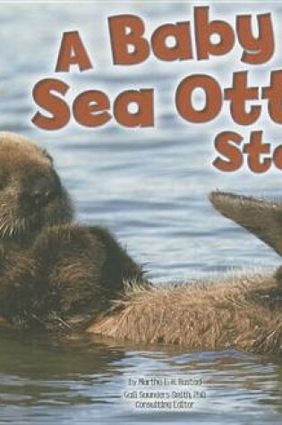 Cover of A Baby Sea Otter Story