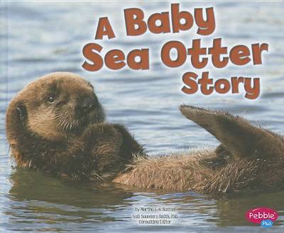 Book cover for A Baby Sea Otter Story